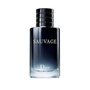 dior-sauvage-eau-de-toilette-men-in-uae