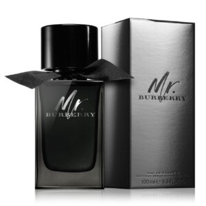 burberry-mr-burberry-eau-de-parfum-100-ml-in-uae