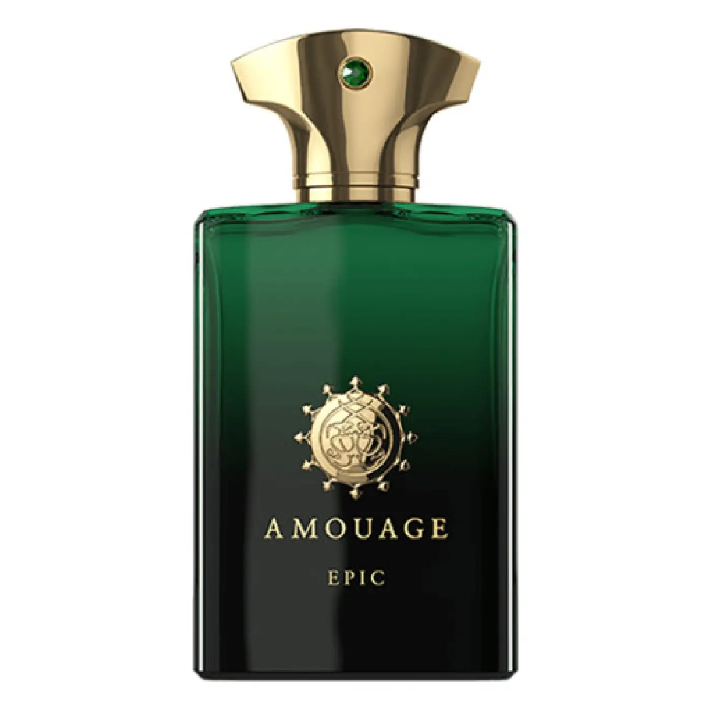 AMOUAGE EPIC (M) EDP 100ml AMOUAGE-EPIC-M-EDP-