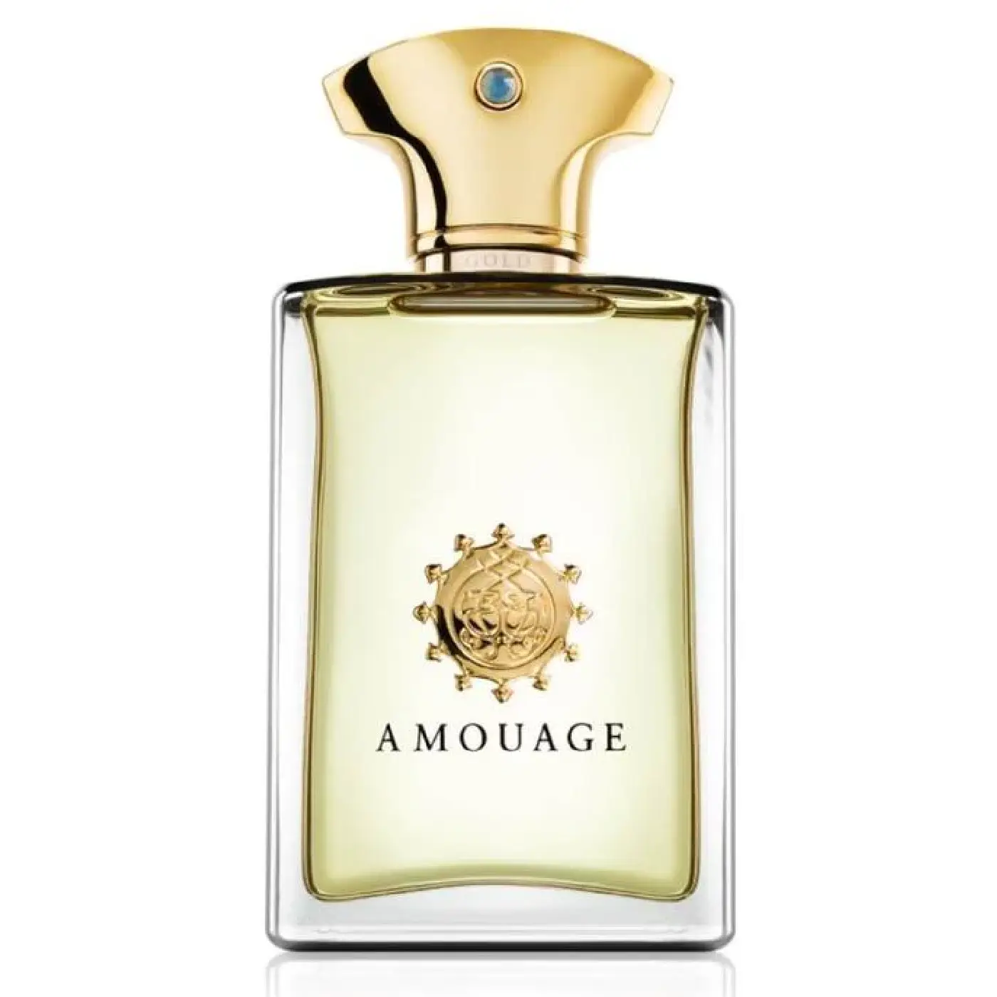 AMOUAGE-GOLD-M-EDP-100ml-